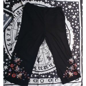 ECRU Black Velveteen Embroidered Cropped Pant